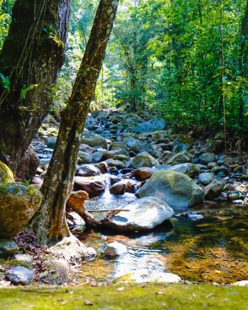 Tours Naturales